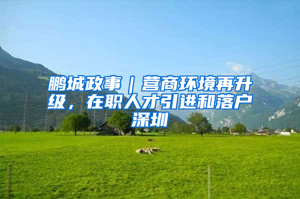 鹏城政事｜营商环境再升级，在职人才引进和落户深圳