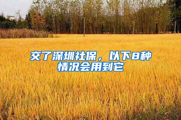 交了深圳社保，以下8种情况会用到它