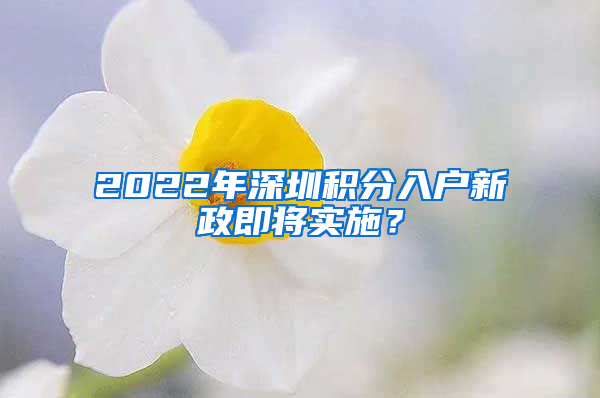 2022年深圳积分入户新政即将实施？