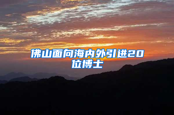 佛山面向海内外引进20位博士