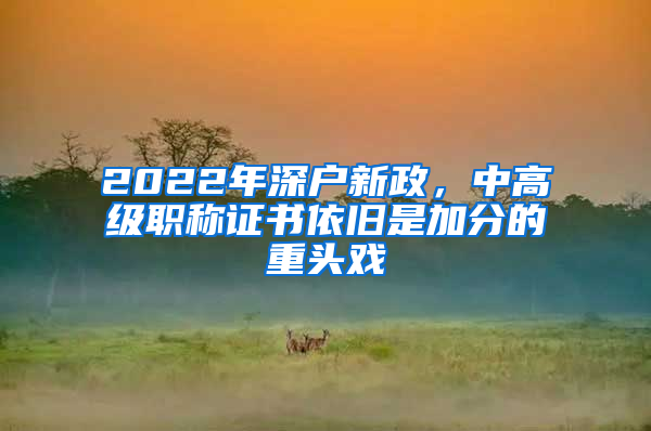 2022年深户新政，中高级职称证书依旧是加分的重头戏
