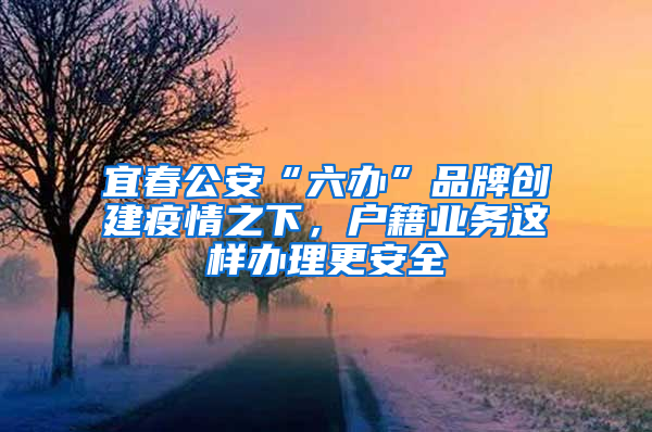 宜春公安“六办”品牌创建疫情之下，户籍业务这样办理更安全