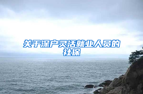 关于深户灵活就业人员的社保