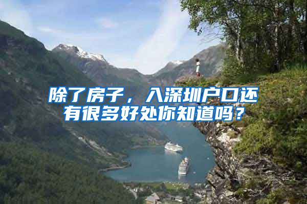 除了房子，入深圳户口还有很多好处你知道吗？