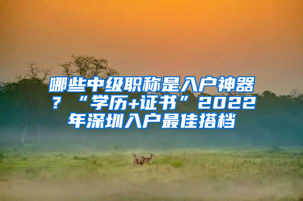 哪些中级职称是入户神器？“学历+证书”2022年深圳入户最佳搭档