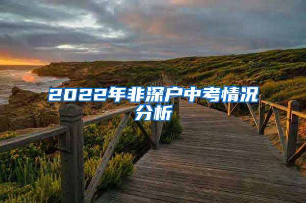 2022年非深户中考情况分析