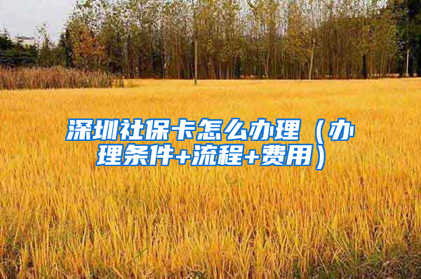 深圳社保卡怎么办理（办理条件+流程+费用）