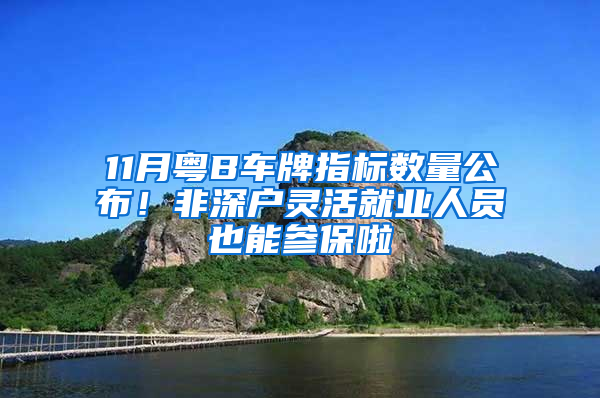 11月粤B车牌指标数量公布！非深户灵活就业人员也能参保啦