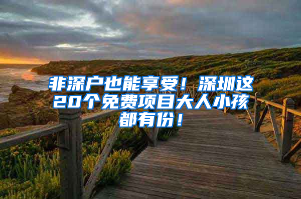 非深户也能享受！深圳这20个免费项目大人小孩都有份！