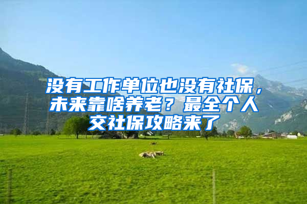 没有工作单位也没有社保，未来靠啥养老？最全个人交社保攻略来了