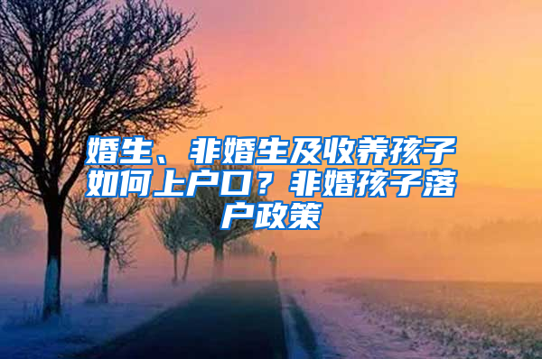 婚生、非婚生及收养孩子如何上户口？非婚孩子落户政策