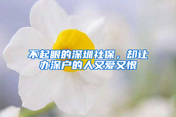 不起眼的深圳社保，却让办深户的人又爱又恨