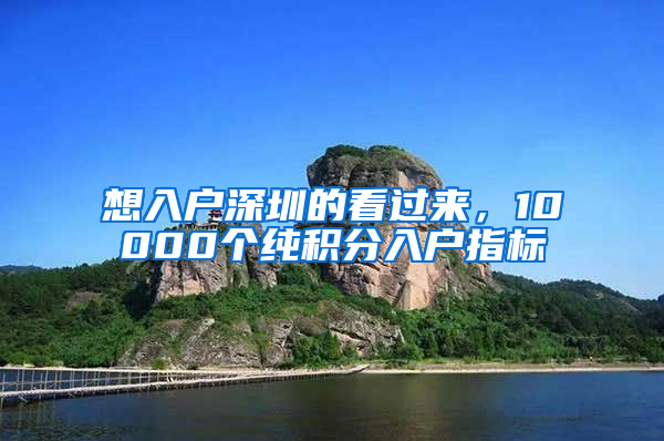 想入户深圳的看过来，10000个纯积分入户指标