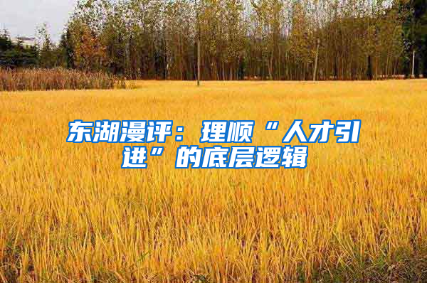 东湖漫评：理顺“人才引进”的底层逻辑