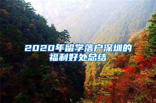 2020年留学落户深圳的福利好处总结
