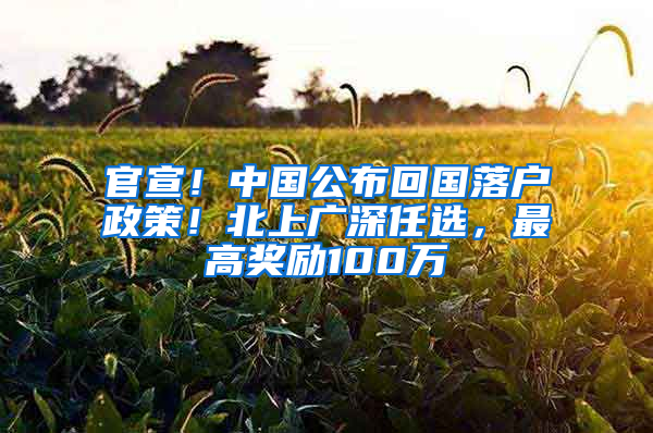 官宣！中国公布回国落户政策！北上广深任选，最高奖励100万