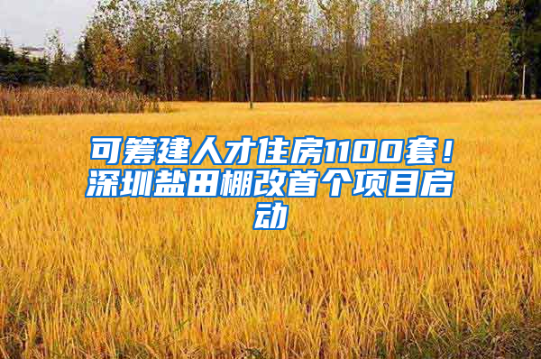 可筹建人才住房1100套！深圳盐田棚改首个项目启动