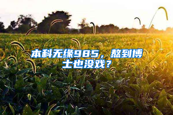 本科无缘985，熬到博士也没戏？