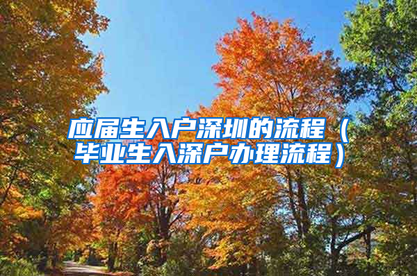 应届生入户深圳的流程（毕业生入深户办理流程）