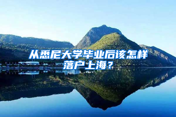 从悉尼大学毕业后该怎样落户上海？