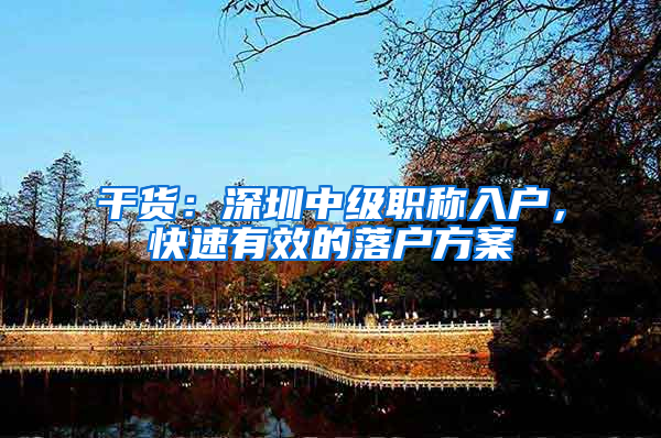 干货：深圳中级职称入户，快速有效的落户方案