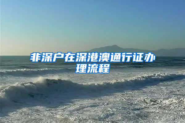 非深户在深港澳通行证办理流程