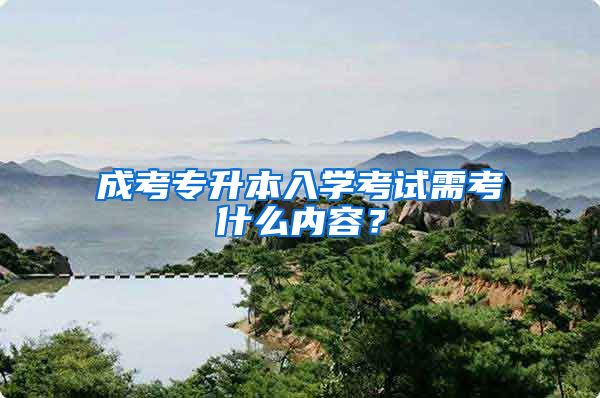 成考专升本入学考试需考什么内容？