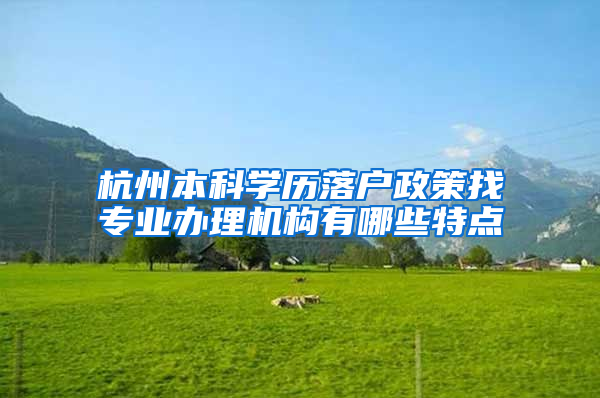杭州本科学历落户政策找专业办理机构有哪些特点