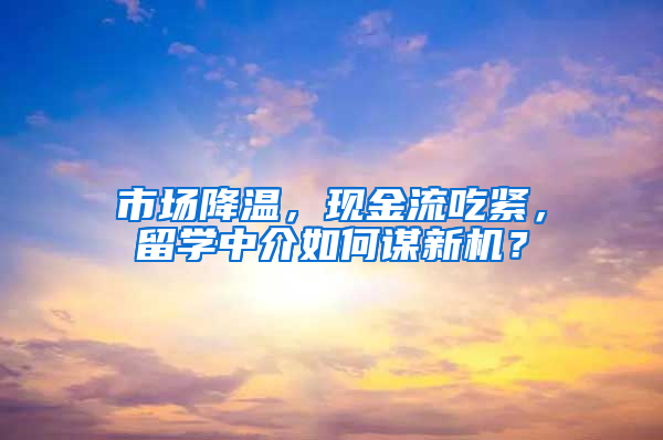 市场降温，现金流吃紧，留学中介如何谋新机？