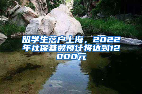 留学生落户上海，2022年社保基数预计将达到12000元