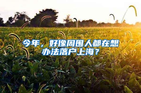 今年，好像周围人都在想办法落户上海？