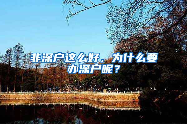 非深户这么好，为什么要办深户呢？