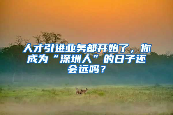 人才引进业务都开始了，你成为“深圳人”的日子还会远吗？