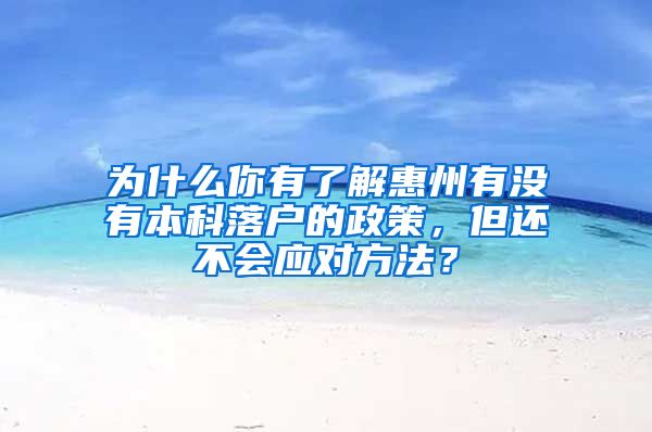 为什么你有了解惠州有没有本科落户的政策，但还不会应对方法？
