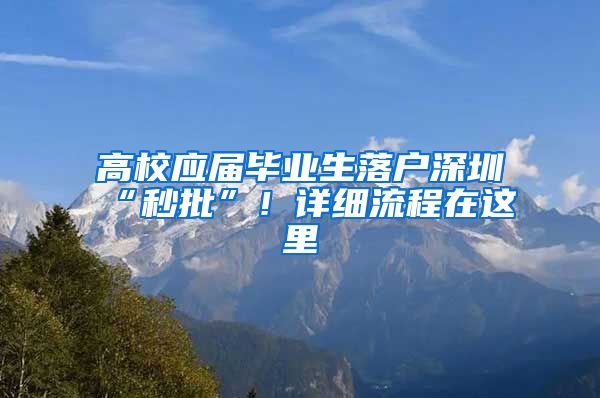 高校应届毕业生落户深圳“秒批”！详细流程在这里