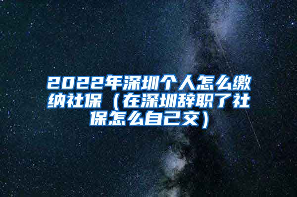 2022年深圳个人怎么缴纳社保（在深圳辞职了社保怎么自己交）