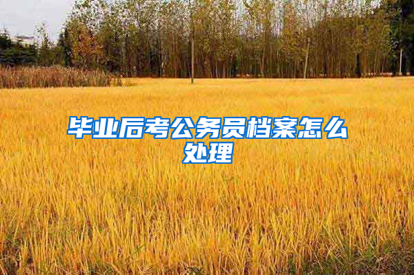 毕业后考公务员档案怎么处理