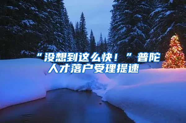 “没想到这么快！”普陀人才落户受理提速