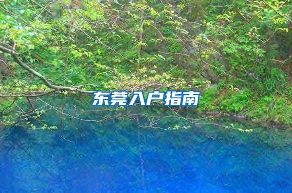 东莞入户指南