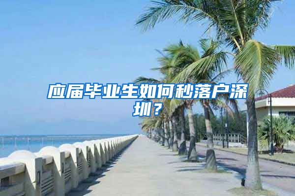 应届毕业生如何秒落户深圳？