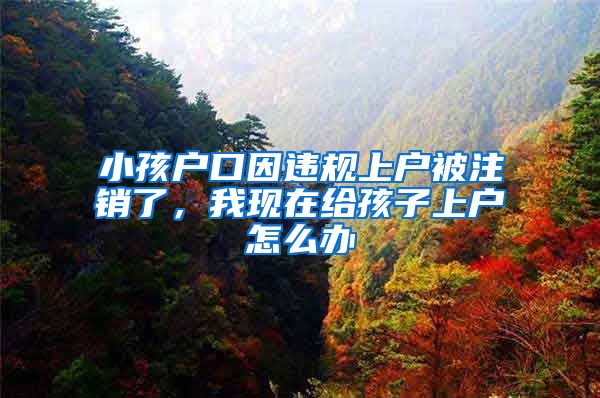 小孩户口因违规上户被注销了，我现在给孩子上户怎么办