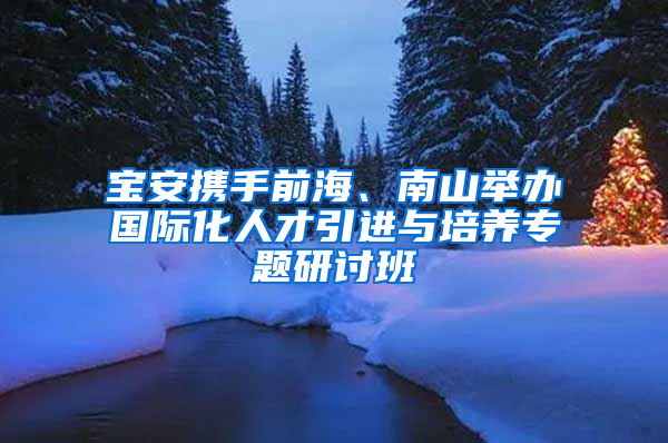宝安携手前海、南山举办国际化人才引进与培养专题研讨班