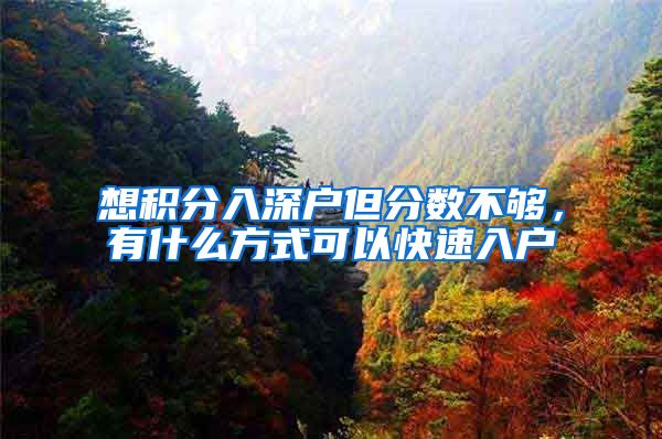 想积分入深户但分数不够，有什么方式可以快速入户