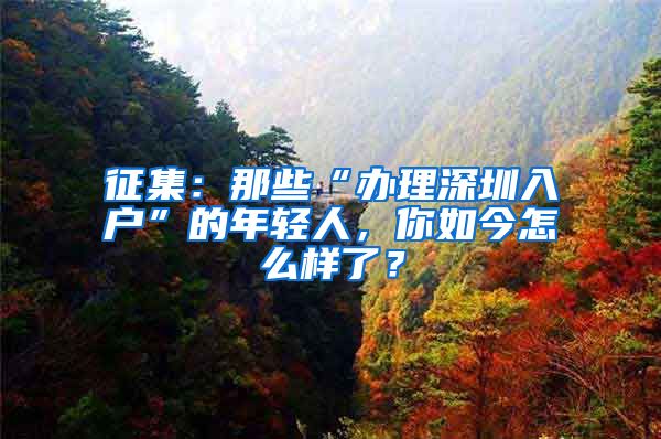 征集：那些“办理深圳入户”的年轻人，你如今怎么样了？