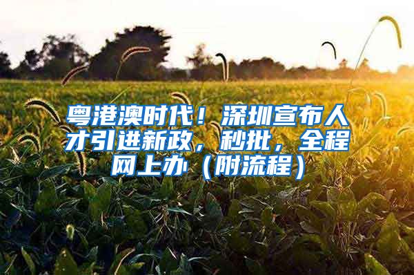 粤港澳时代！深圳宣布人才引进新政，秒批，全程网上办（附流程）
