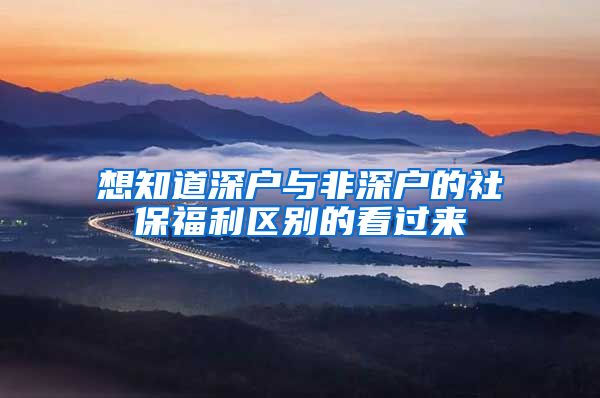 想知道深户与非深户的社保福利区别的看过来