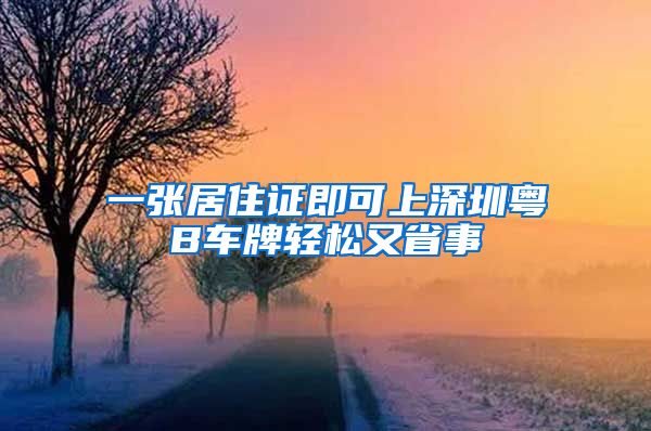 一张居住证即可上深圳粤B车牌轻松又省事
