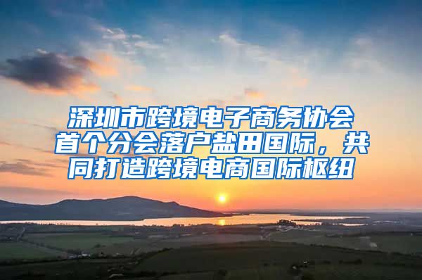 深圳市跨境电子商务协会首个分会落户盐田国际，共同打造跨境电商国际枢纽