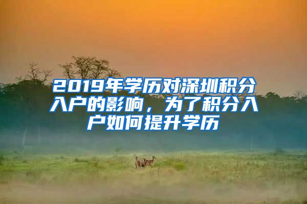 2019年学历对深圳积分入户的影响，为了积分入户如何提升学历