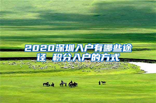 2020深圳入户有哪些途径 积分入户的方式